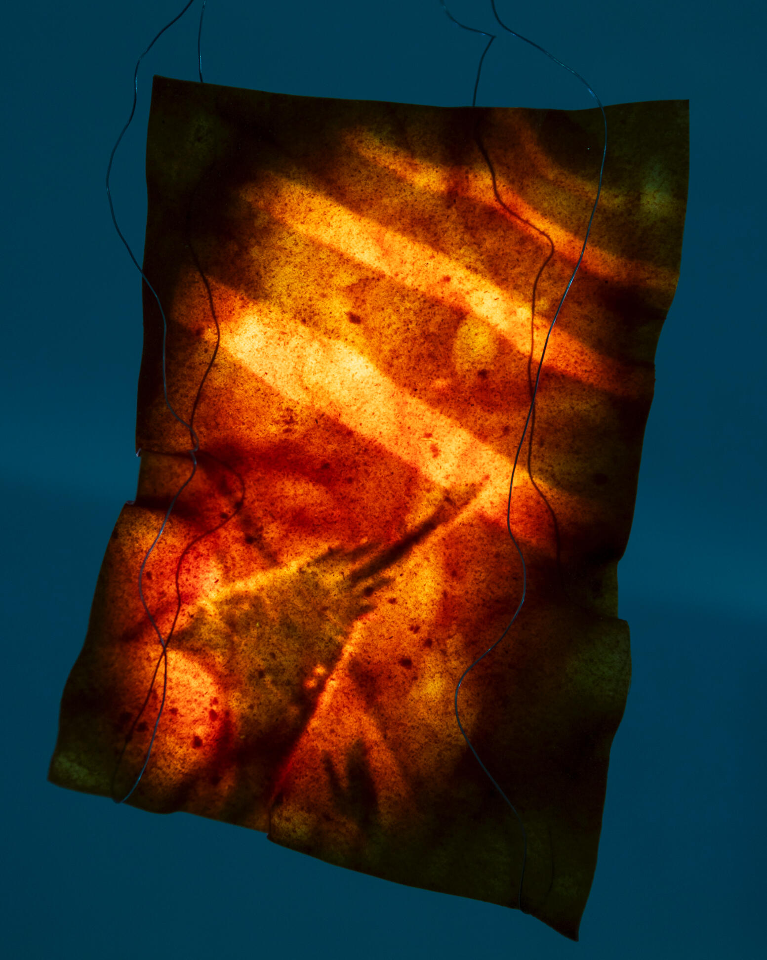 Untitled Untitled
